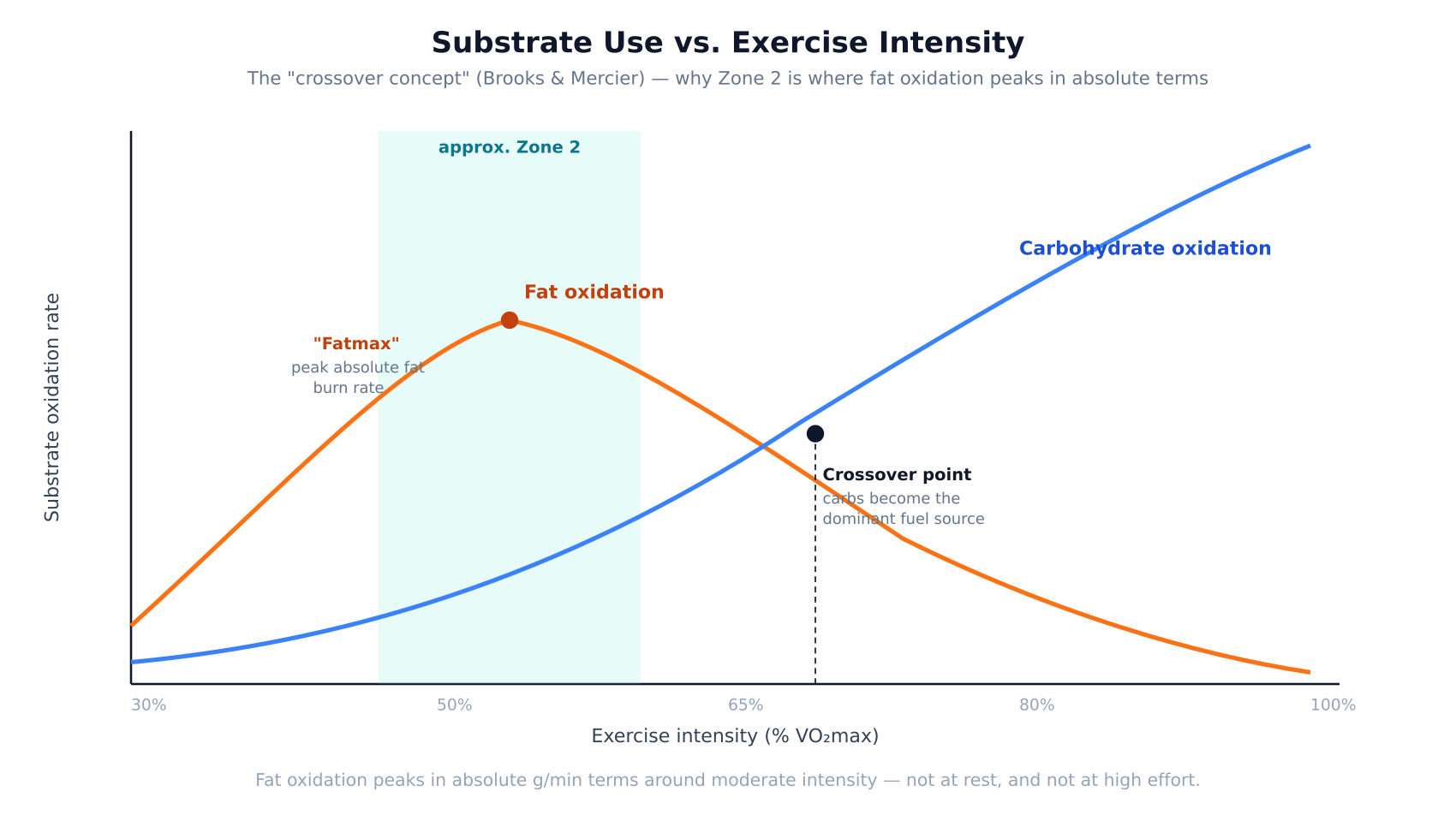 Graph showing fat oxidation rate rising then falling with a peak around Zone 2 intensity, while carbohydrate oxidation rate rises continuously with intensity, crossing over as the dominant fuel source at higher effort