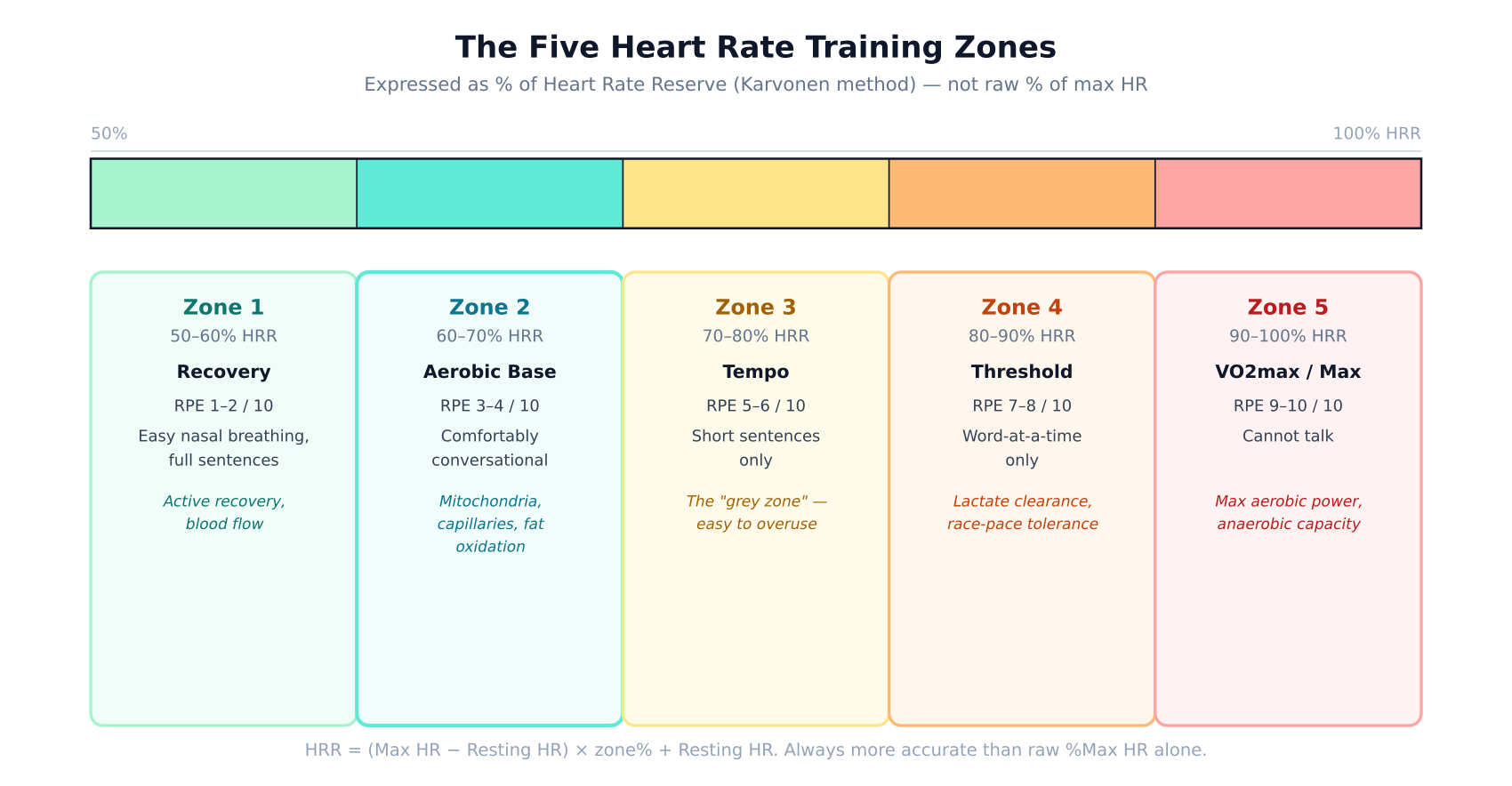 Heart Rate Zones, Properly Explained: Why Zone 2 Builds the Aerobic Base That Everything Else Depends On